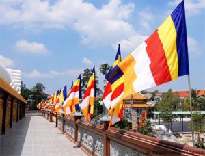 co Phat giao 2 768x583 1