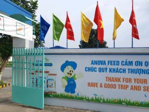 Cờ Phướn Nhiều Màu Có Sẵn Giá Xưởng 2 9a1548024591bbcfe280