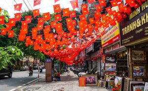 Cờ dây tổ quốc và búa liềm 2 Ha Noi 2 9 5