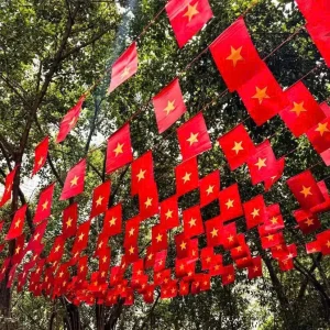 co day to quoc vai phi 10m 1