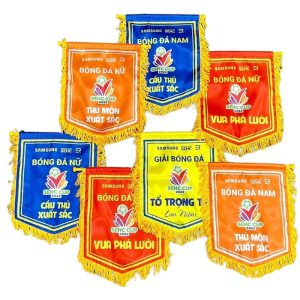 co luu niem 30cm 40cm