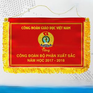 co luu niem da nang bici