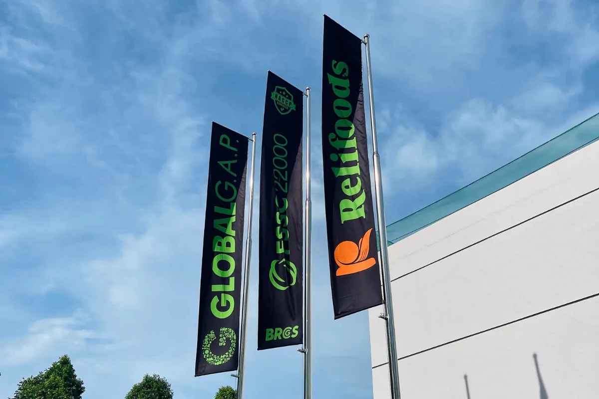 In Cờ Khổ Lớn - Size To Đến Khổng Lồ 🏟️, Không Giới Hạn Kích Thước » ZOZO