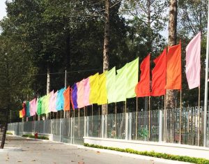 Cờ Phướn Trang Trí Lễ Tết 2 co phuon nhieu mau 1