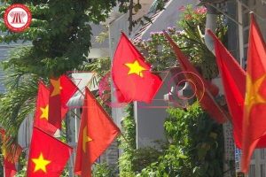 dia diem ban co viet nam gia re chat luong dang tin cay tai hcm 2