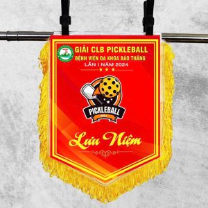 co luu niem pickleball 10