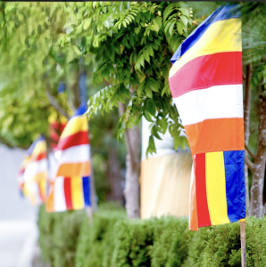 screenshot 2024 01 24 094257