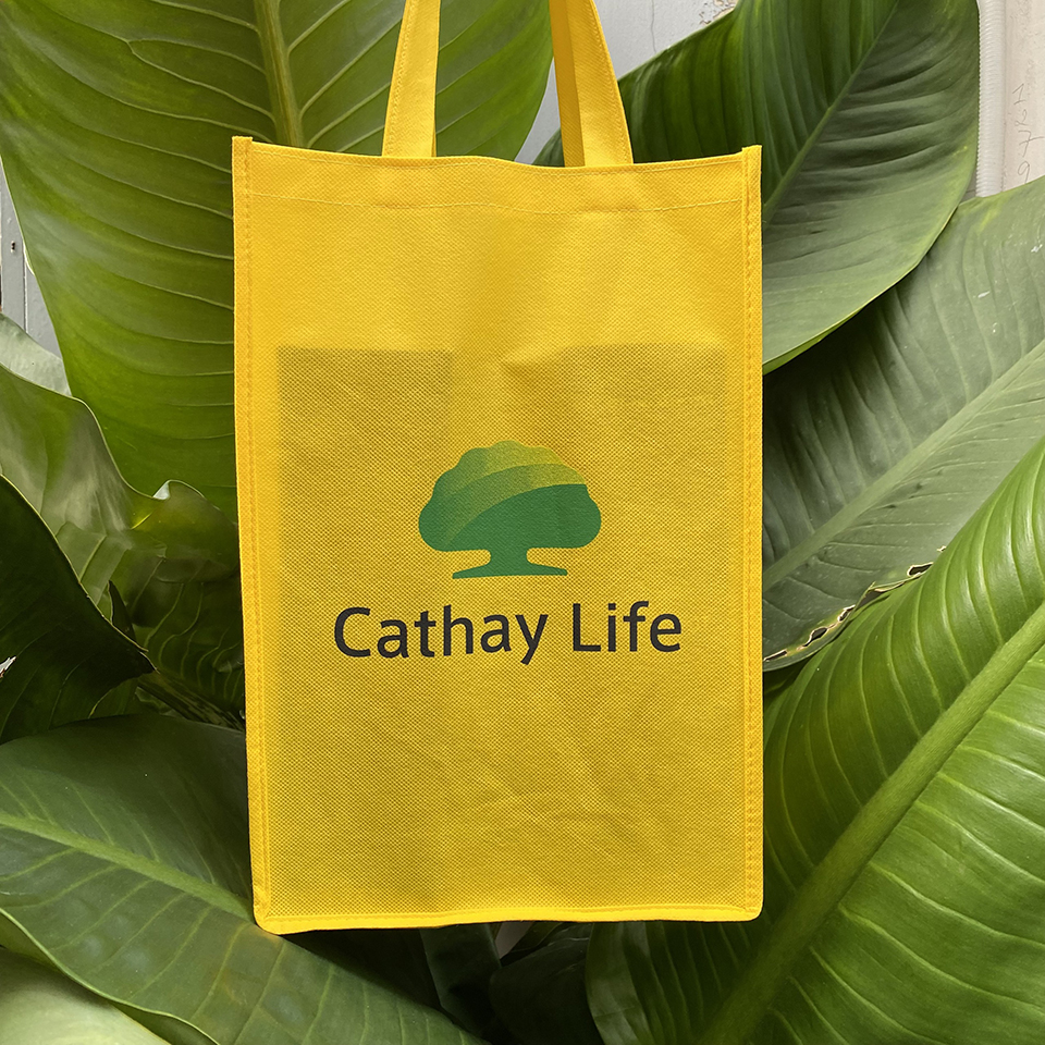 TÚI VẢI KHÔNG DỆT ĐỰNG HỒ SƠ MÀU VÀNG IN LOGO - CT 252 - CÔNG TY TNHH ...